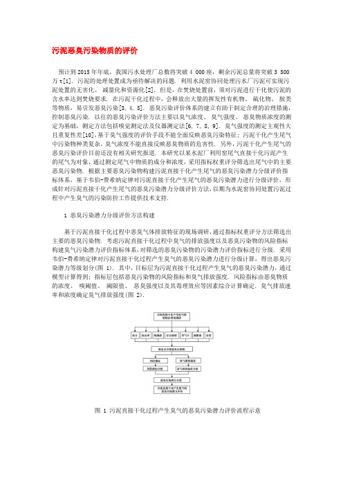 污泥恶臭污染物质的评价