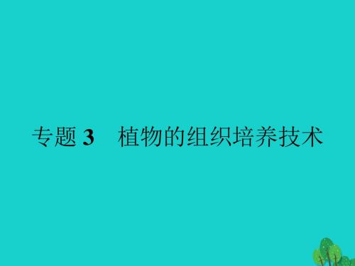 2017春高中生物专题3植物的组织培养技术课题1菊花的组织培养课件新人教版选修1资料