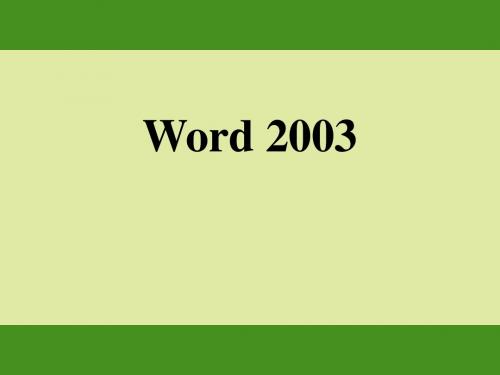 word2003介绍