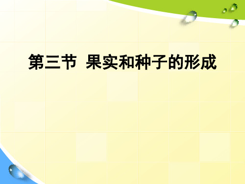 4.1.3++果实和种子的形成++课件-2024-2025学年济南版生物八年级上册