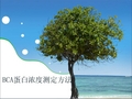 BCA蛋白浓度测定方法