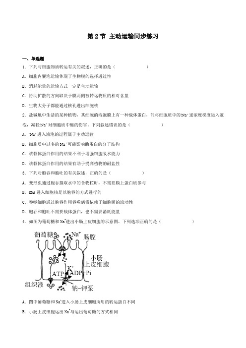 4-2 主动运输与胞吞、胞吐(习题精练)(原卷版)