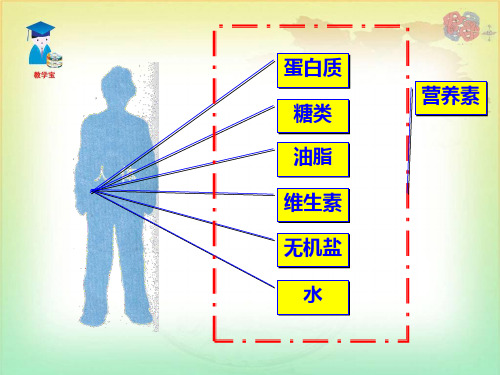 课题1人类重要营养物质.ppt