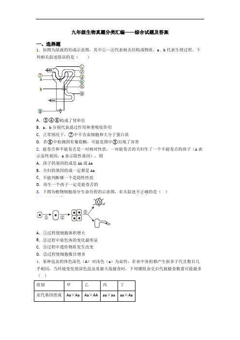 九年级生物真题分类汇编——综合试题及答案