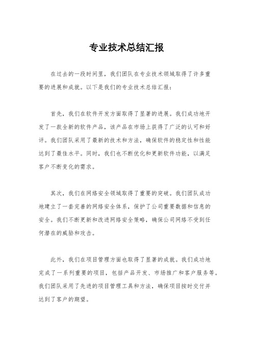 专业技术总结汇报