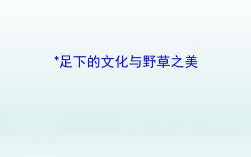 足下的文化与野草之美