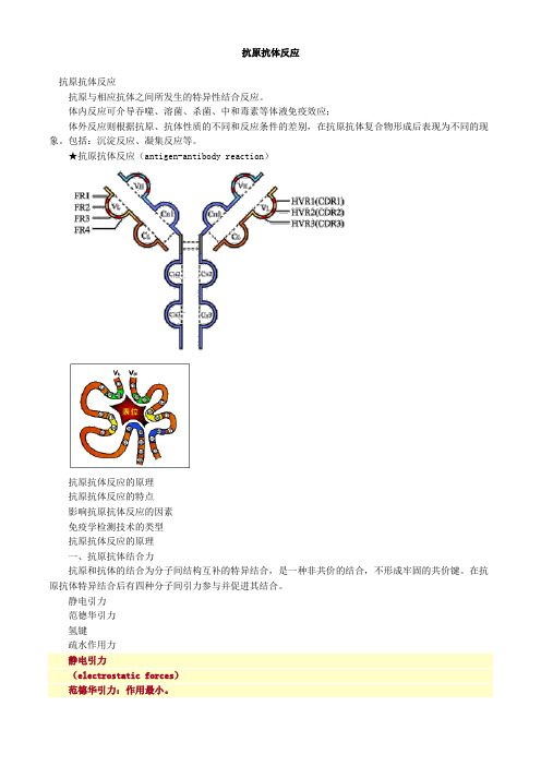 抗原抗体反应