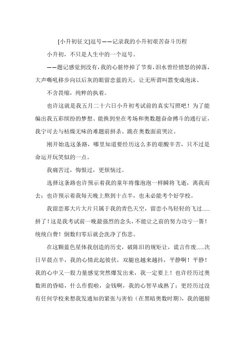 小升初征文逗号——记录我的小升初艰苦奋斗历程-作文