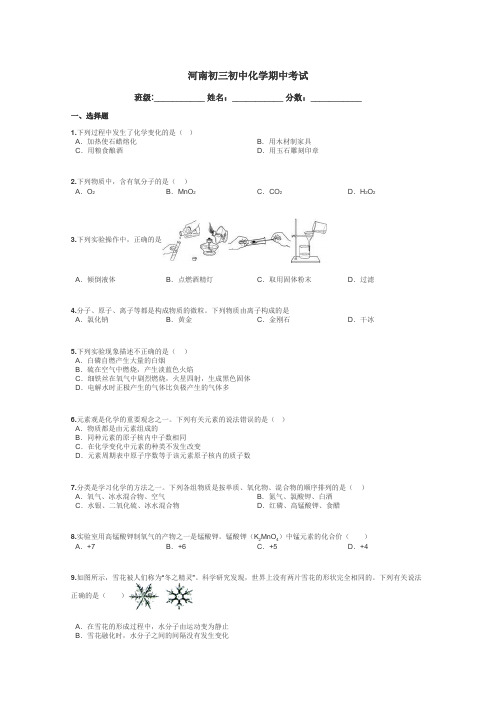 河南初三初中化学期中考试带答案解析
