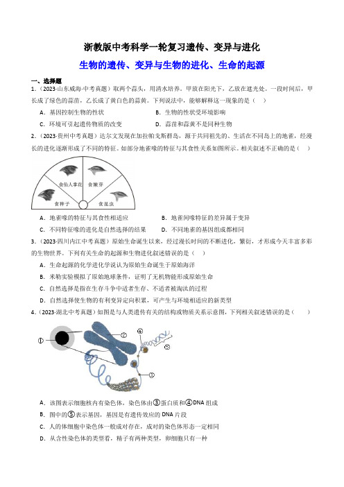 13.遗传变异与进化(练习)(原卷版)