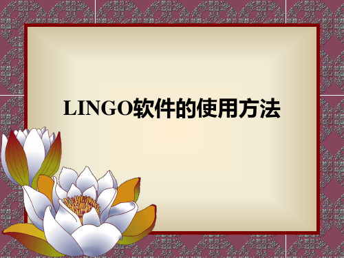 LINGO软件的使用方法