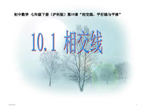 沪科版数学七年级下册：10.1 对顶角及其性质 (共17张PPT)