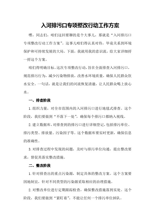 入河排污口专项整改行动工作方案