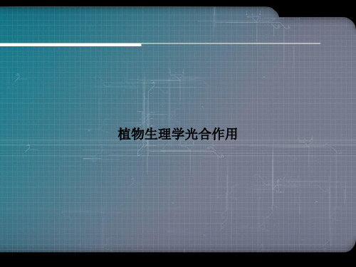 植物生理学光合作用优选演示