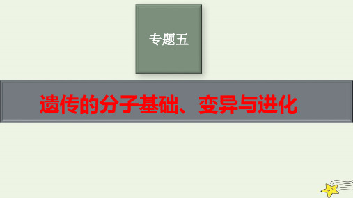 老高考新教材适用2023版高考生物二轮复习专题5遗传的分子基础变异与进化pptx课件