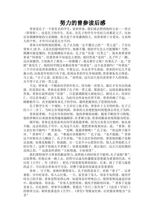 努力的曾参读后感