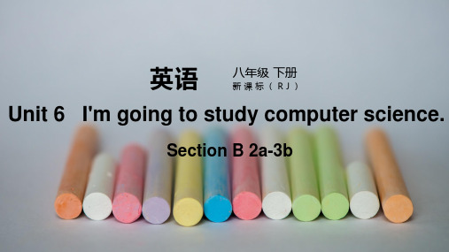 人教版八年级英语下册教学课件  Unit6  Section B-2