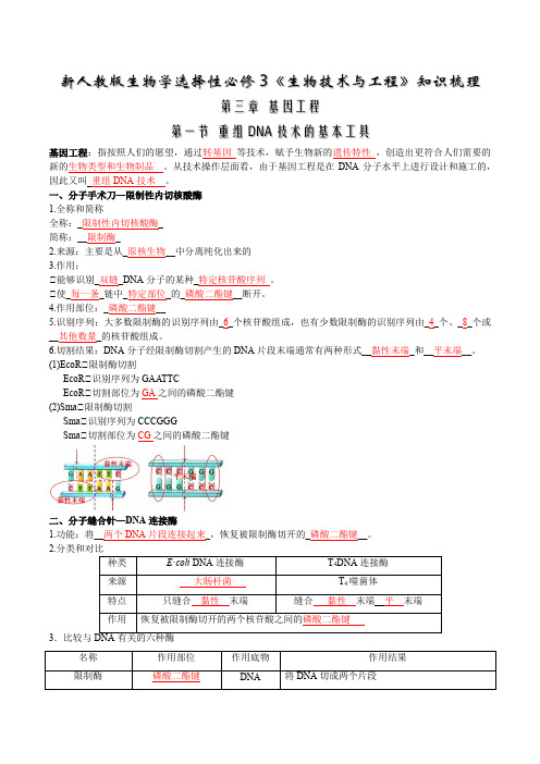 第3章  基因工程-【必背知识】高二生物章节知识清单(人教版选择性必修3)(教师版)