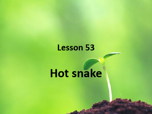 新概念第二册_lesson_53课件