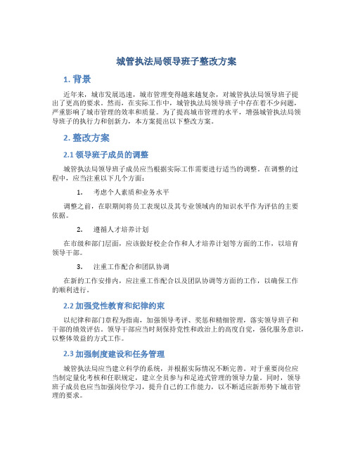 城管执法局领导班子整改方案