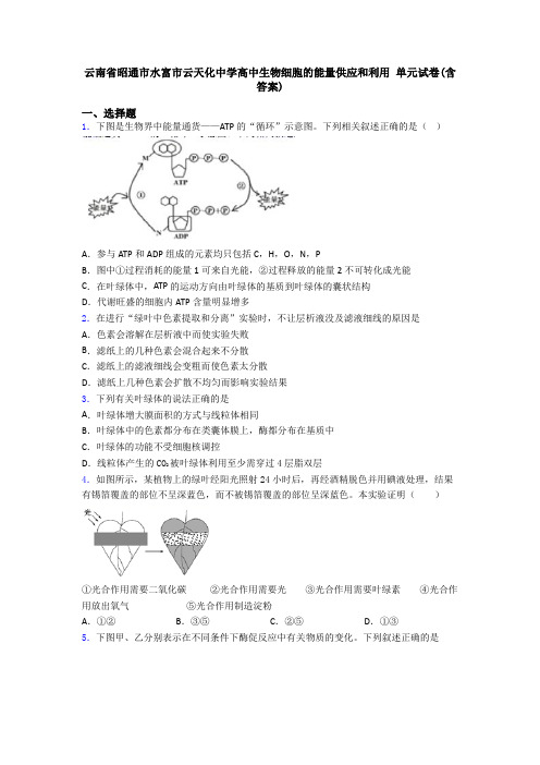 云南省昭通市水富市云天化中学高中生物细胞的能量供应和利用 单元试卷(含答案)