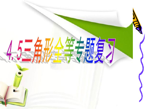 4.5 全等三角形专题复习 课件   21张PPT 北师大版七年级数学下册