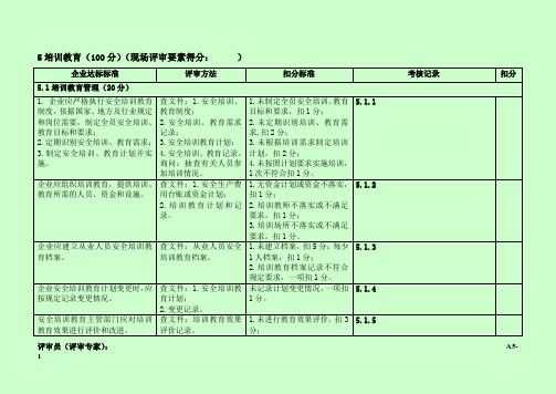 标准化评审记录表5