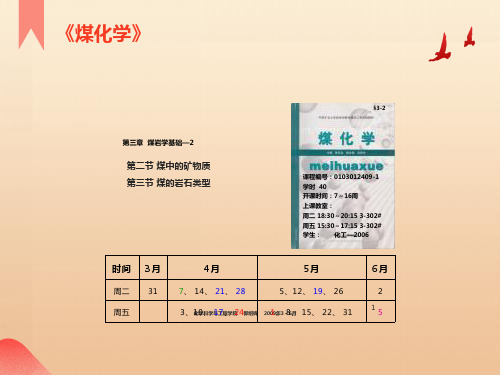 《煤化学》讲稿03章-煤岩学基础