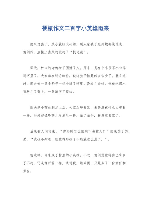 梗概作文三百字小英雄雨来