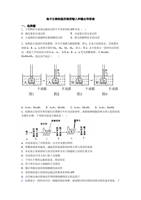 高中生物细胞的物质输入和输出和答案