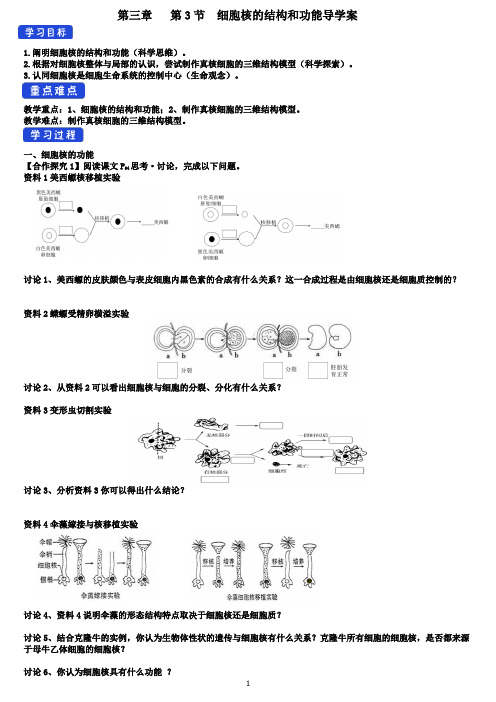 3.3 细胞核的结构和功能 导学案【新教材】人教版(2019)高中生物必修一