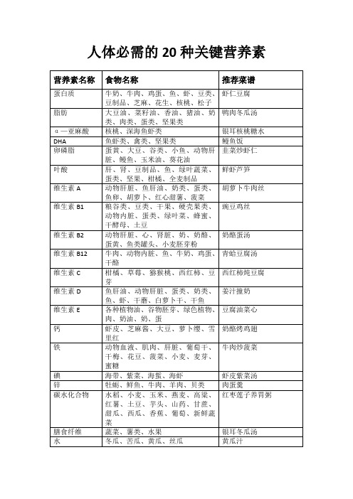 人体必需的20种关键营养素