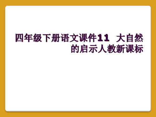 四年级下册语文课件11  大自然的启示人教新课标 