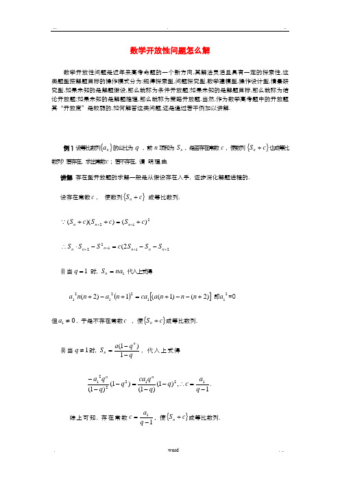 高考数学_冲刺必考专题解析_数学开放性问题问题