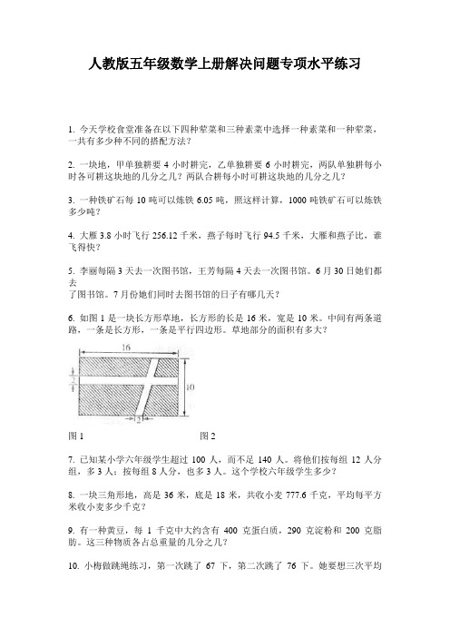 人教版五年级数学上册解决问题专项水平练习