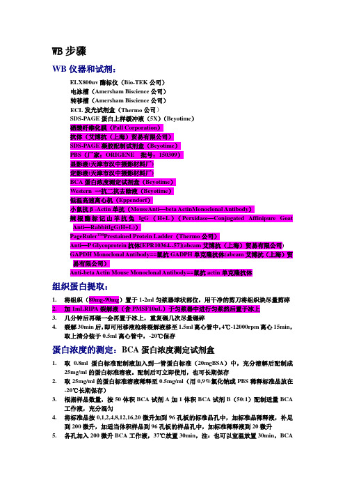 WB步骤