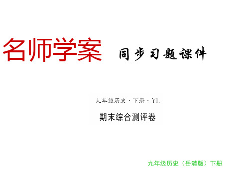 九年级历史下册岳麓版同步习题课件：期末测评卷(共13张PPT)