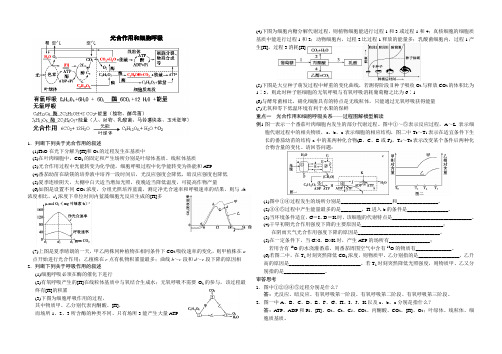 二轮复习-光合作用和细胞呼吸