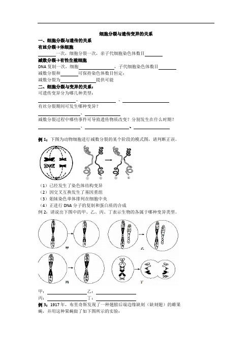 高考生物总复习例题讲解：细胞分裂与遗传变异的关系