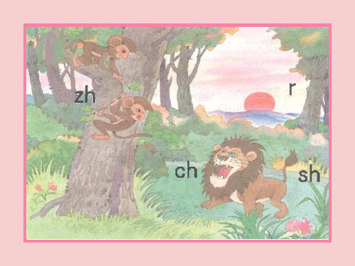 部编人教版小学一年级语文上册《zh-ch-sh-r》课件