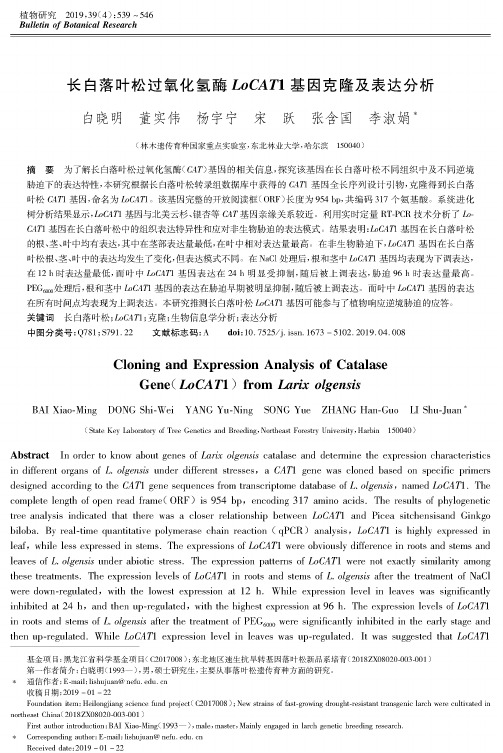 长白落叶松过氧化氢酶LoCAT1基因克隆及表达分析