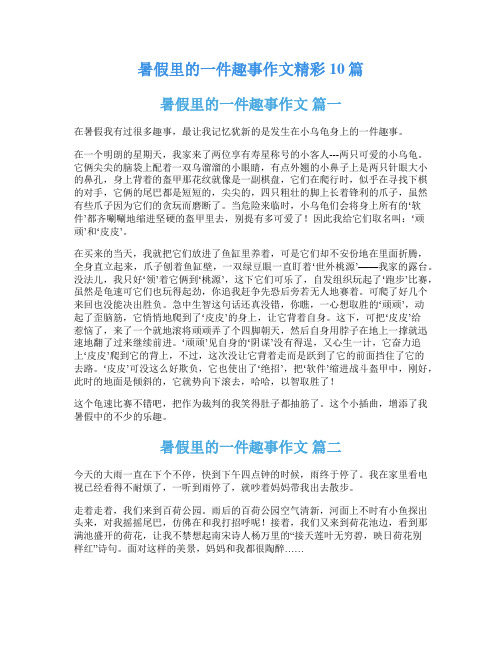 暑假里的一件趣事作文精彩10篇