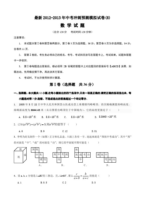 最新2012-2013年数学中考冲刺预测模拟试卷(8)