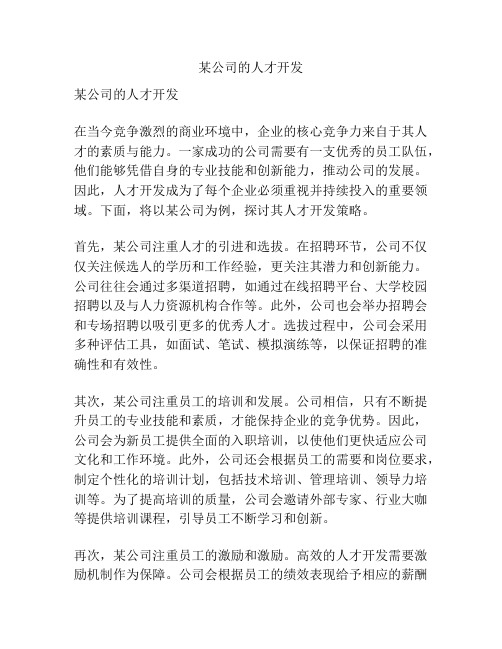 某公司的人才开发