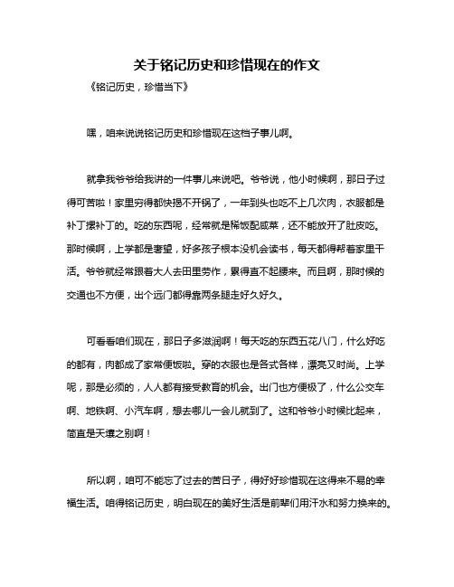 关于铭记历史和珍惜现在的作文