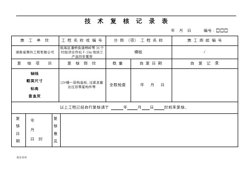 技术复核记录表(模板)