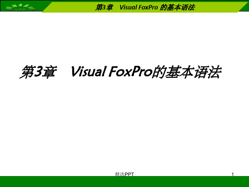 《VFP的基本语法》PPT课件