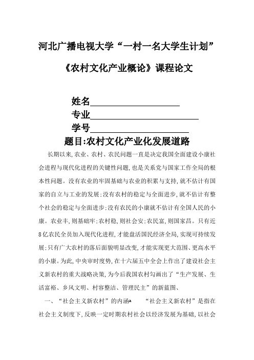 《农村文化产业概论》课程论文