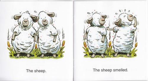 《我的第一套自然拼读故事书》Now I am Reading_Step 5： The Sheep Mess