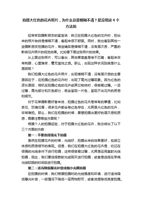 拍摄大红色的花卉照片，为什么总是模糊不清？是没用这4个方法拍